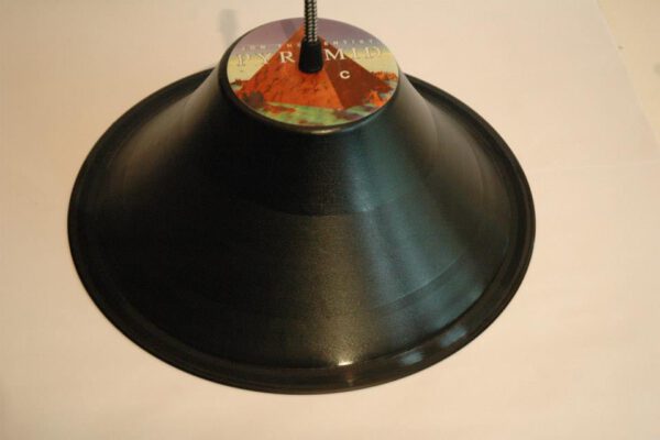 The Vinyl Record Upcycled LED lamp